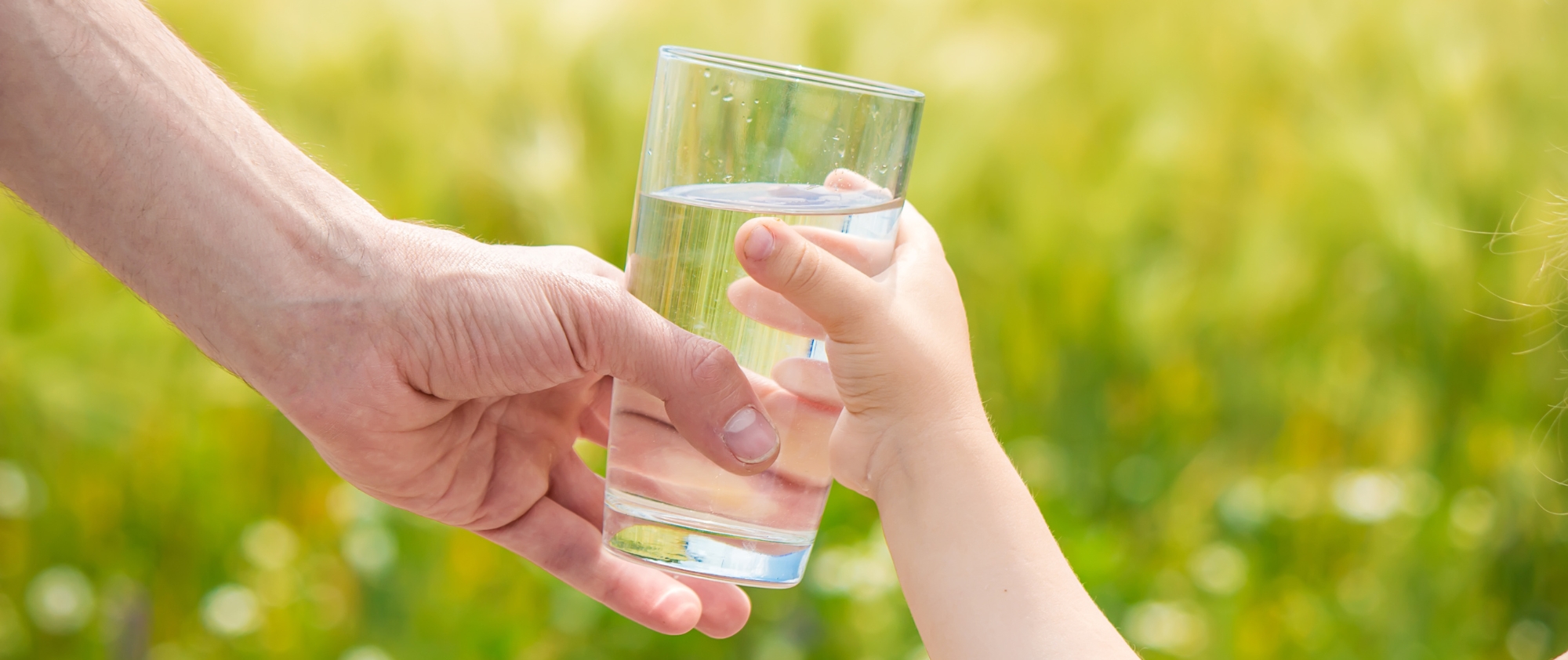 Découvrez les Bienfaits de l'Eau Magnétisée, une eau Aimantée aux propriété  des Eaux de Sources - Aimantix