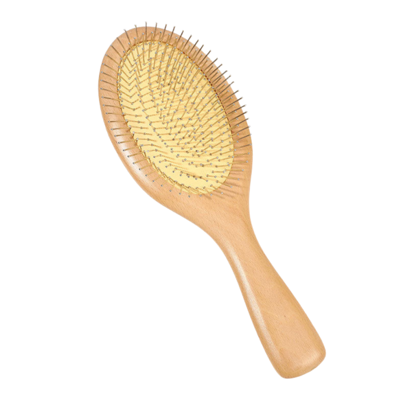 Brosse-en-bois-magnetique-1