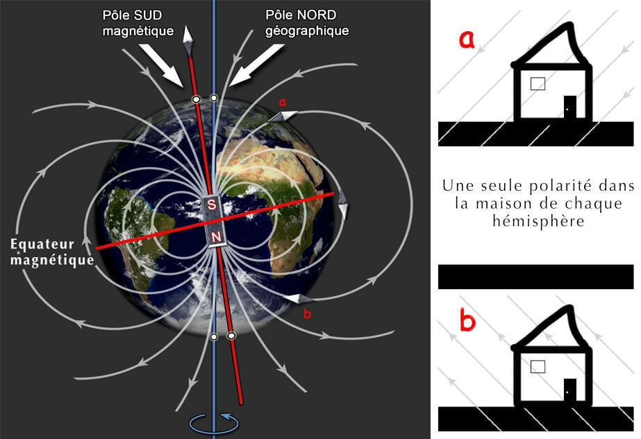 champ magnetique terrestre - une seule polarite par hemisphere
