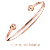 harmonia-blanc