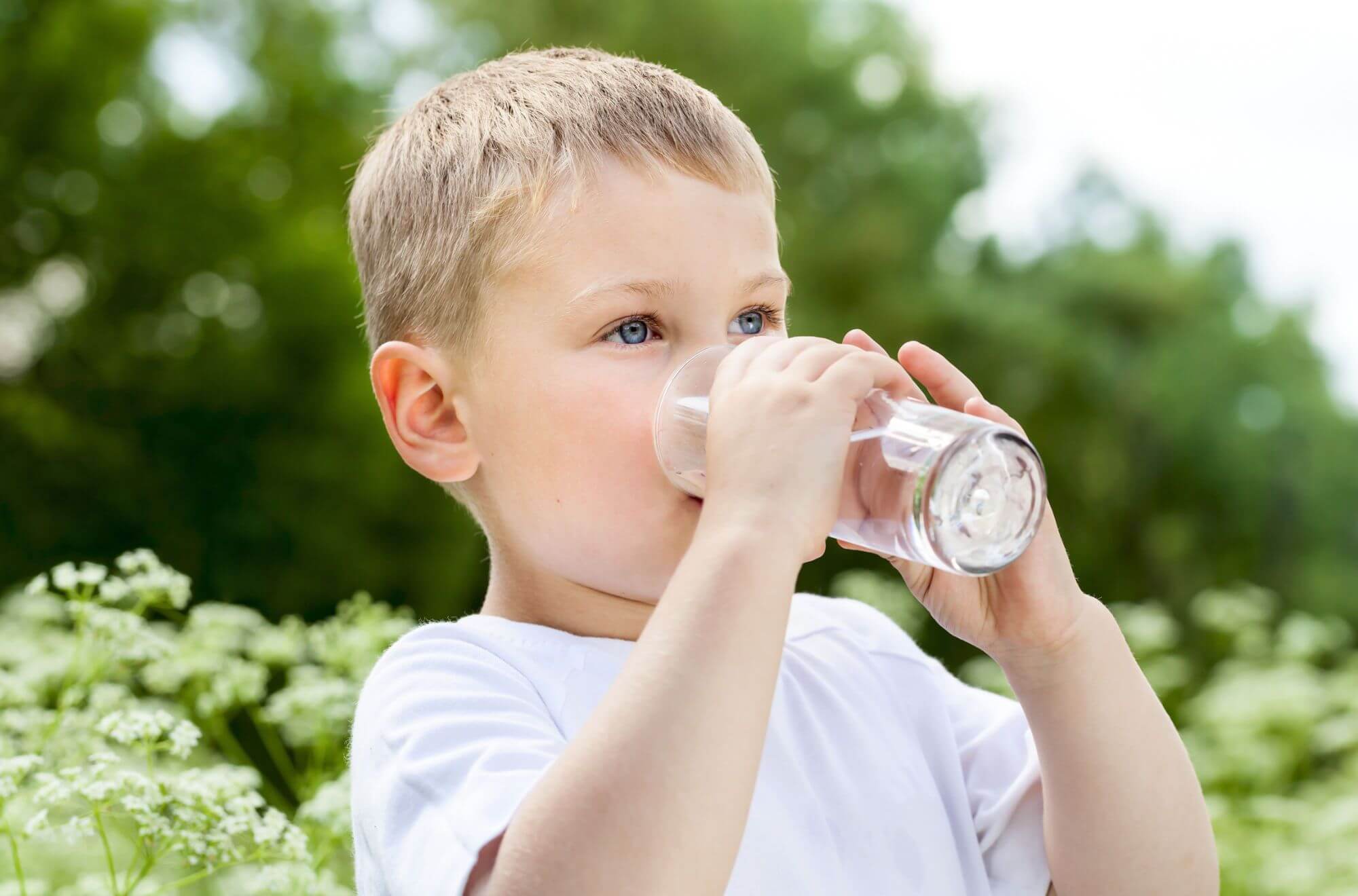 Comment filtrer l'eau du robinet 