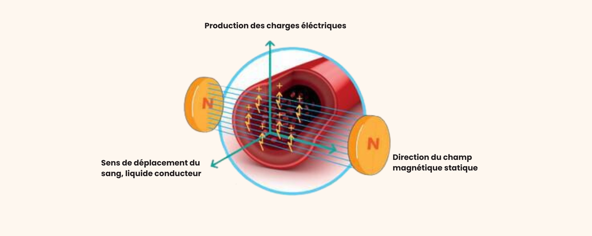 magnétothérapie, comment placer les aimants