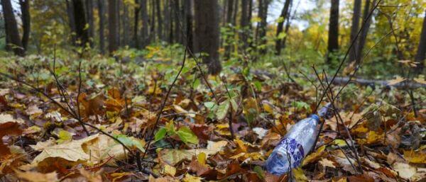 Pollution plastique en foret