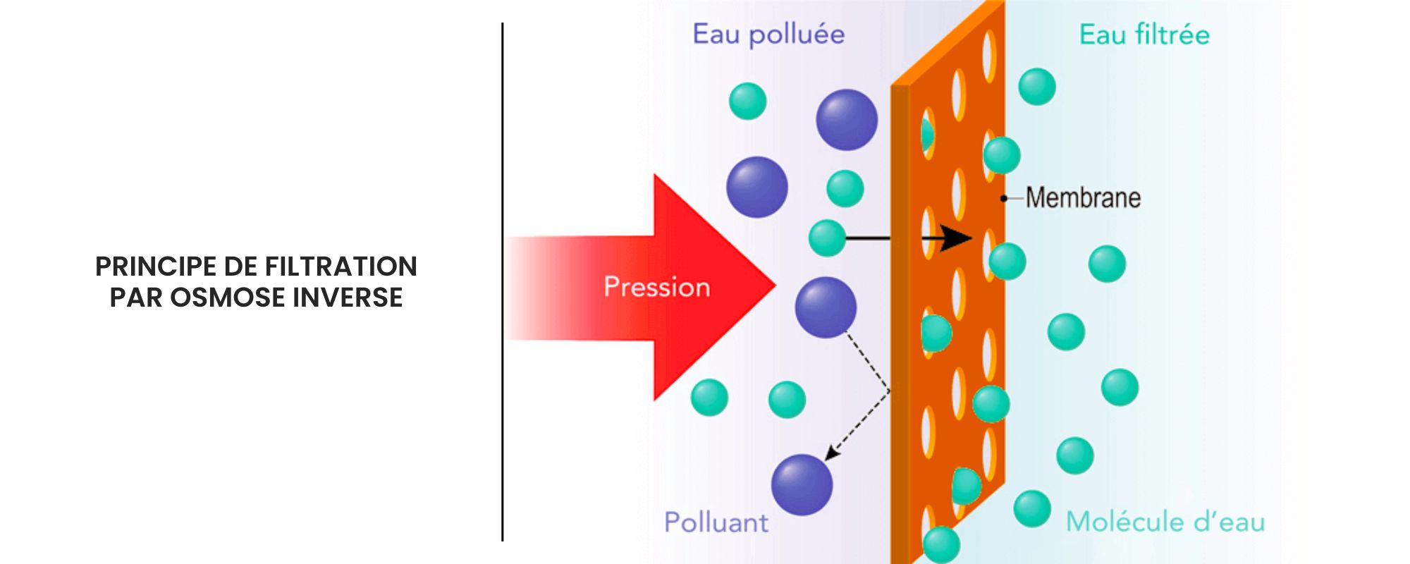 Schéma filtration par osmose inverse